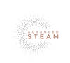 Lisseur Steam Shine Styler