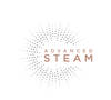 Haarglätter Steam Shine Styler