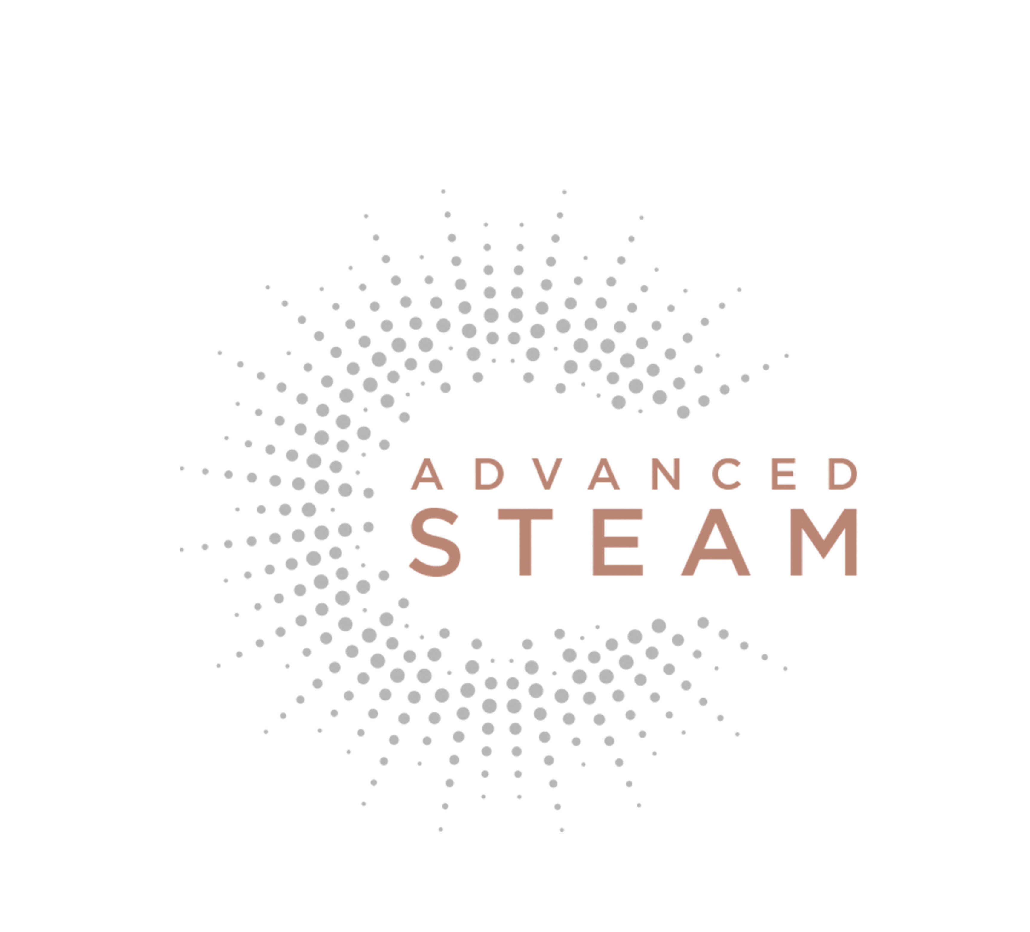 Haarglätter Steam Shine Styler